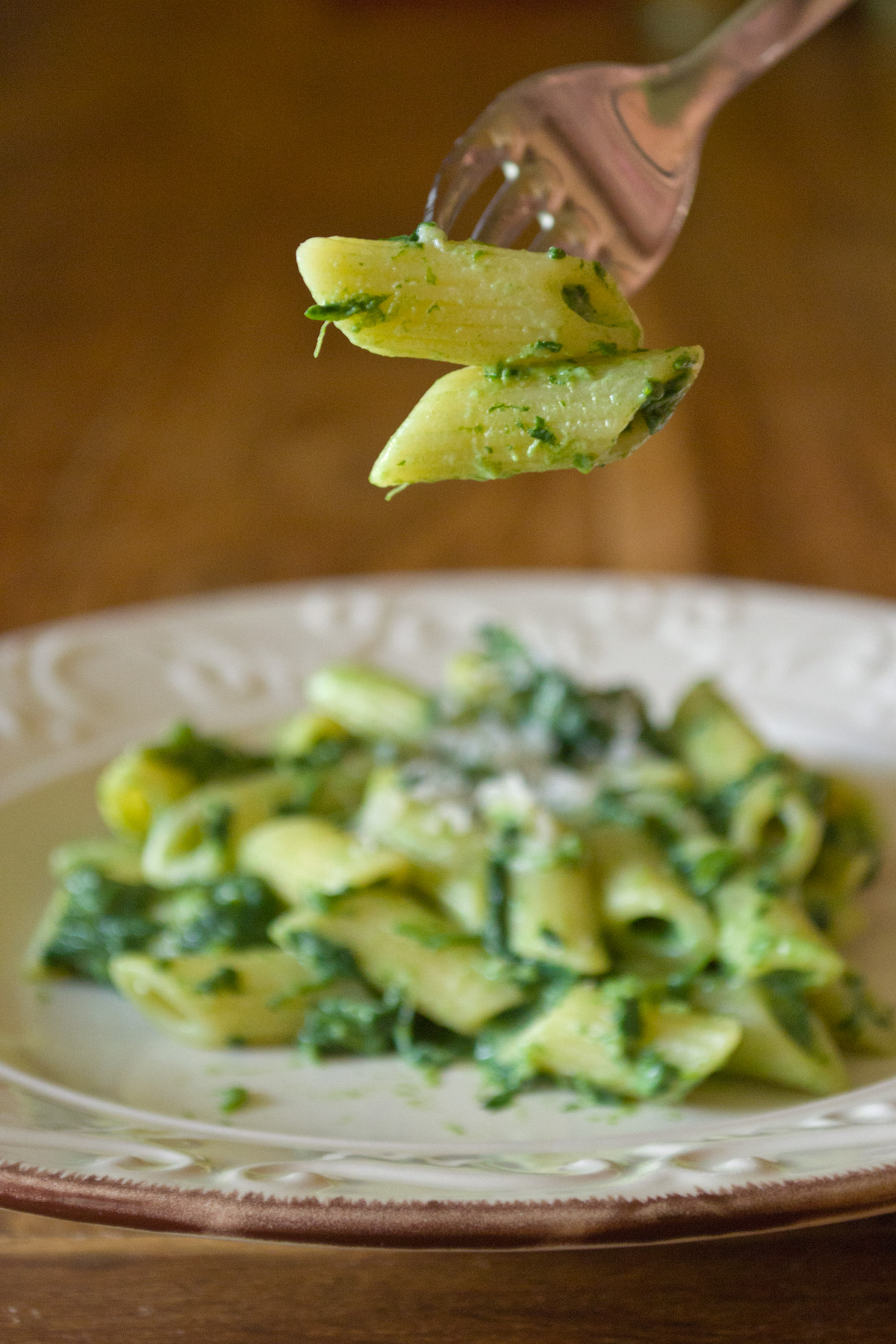 Pasta con spinaci e ricotta | Ricetta ed ingredienti dei Foodblogger ...